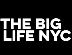 The Big NYC Life